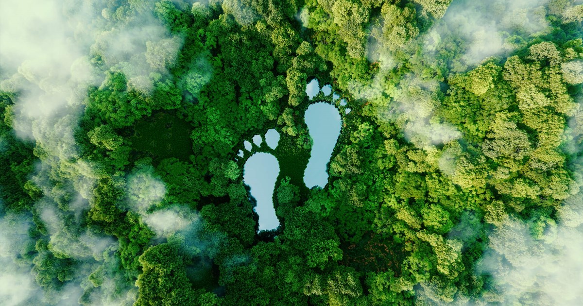 Sustainable Travel: Exploring the World with a Conscious Footprint